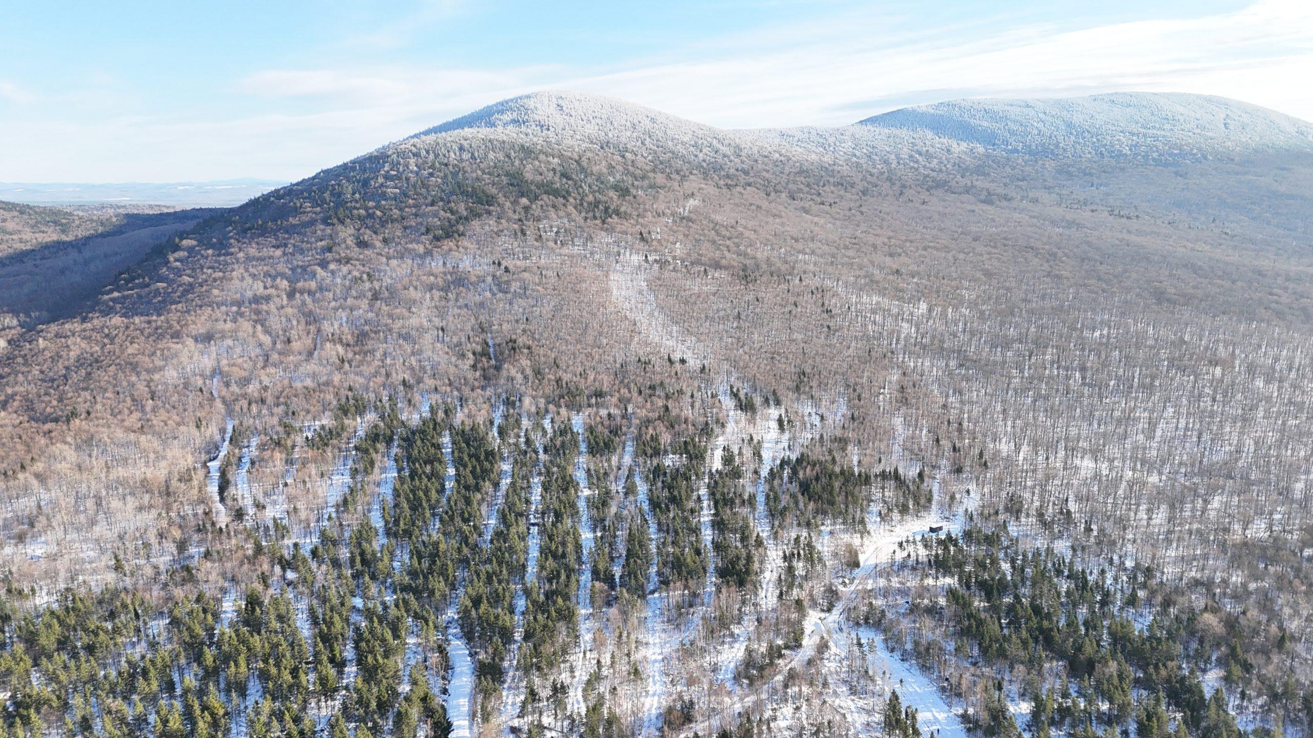 Mont Sainte-Cécile