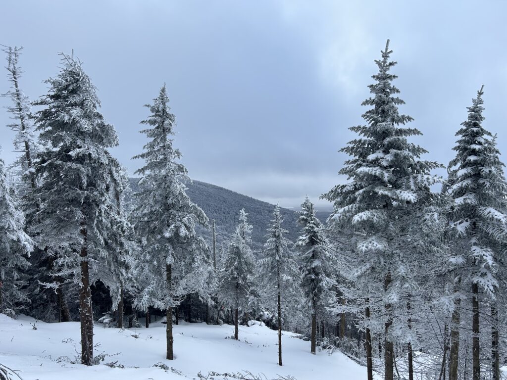 paysage ski mont sainte-cécile