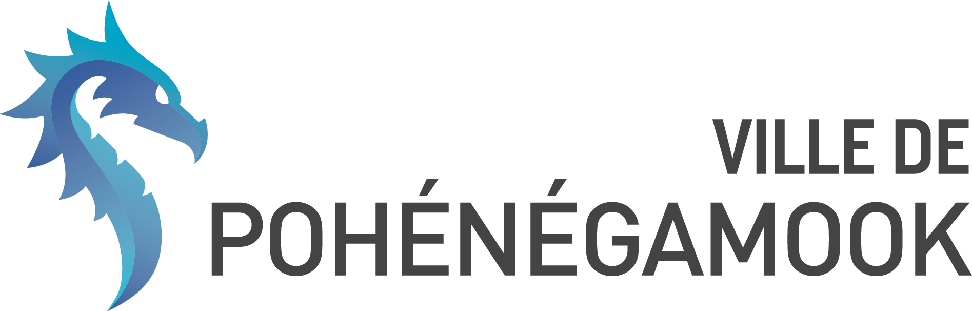 logo Pohenegamook ville
